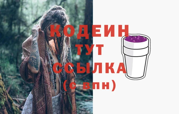 первитин Инсар